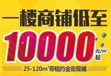 熱度持續(xù)不減！10000元/平米起買真金現(xiàn)鋪